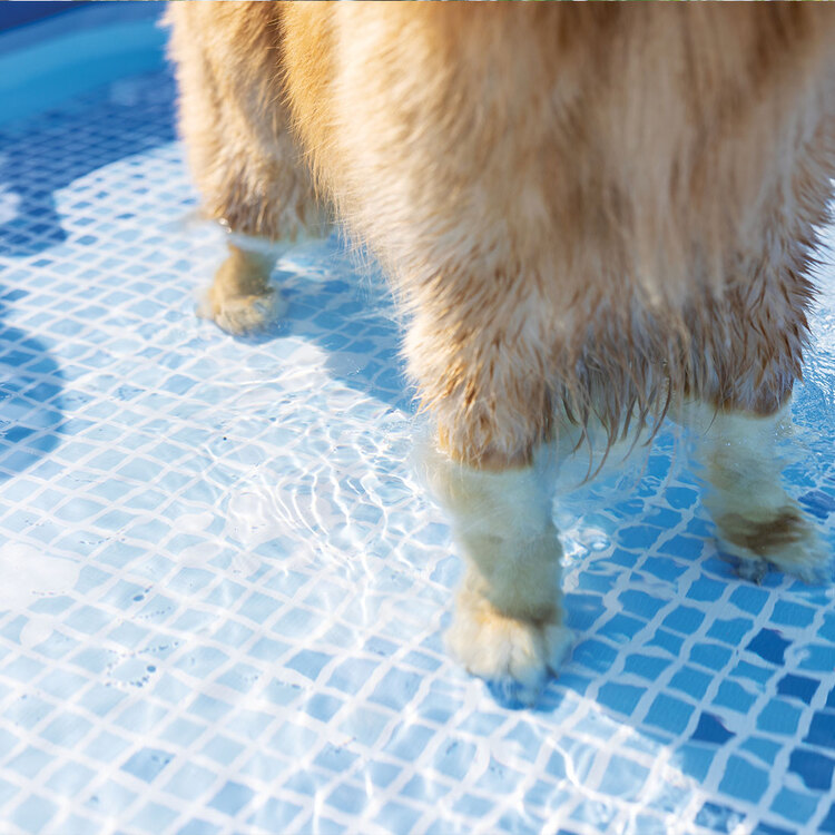 48402np-kit-piscine-tubulaire-carree-pour-animaux (2) kit-piscine-tubulaire-carree-pour-animaux